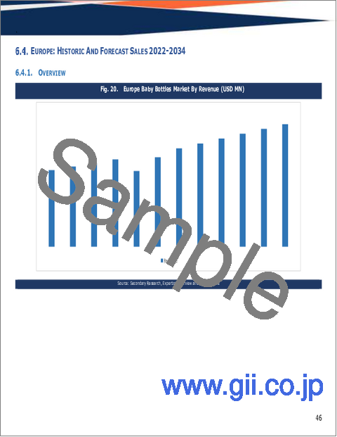サンプル2：哺乳瓶の世界市場規模、シェア、動向及び成長分析レポート2026-2034年