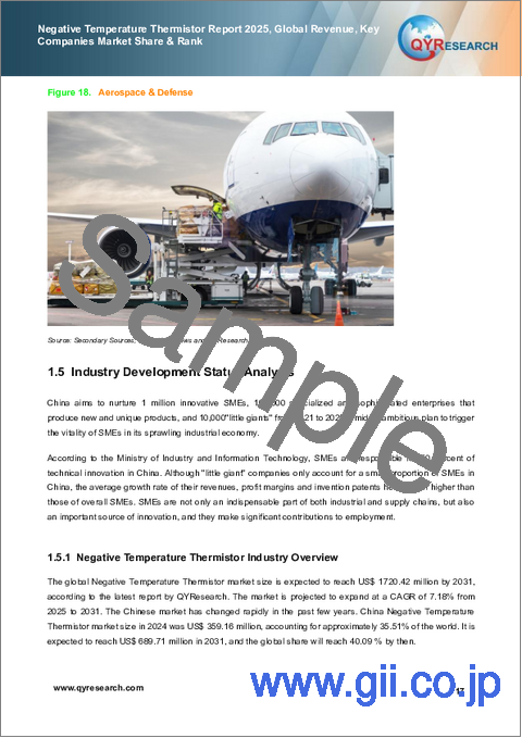 サンプル1：負温度サーミスタ市場レポート、2025年：世界の収益、主要企業の市場シェアとランク