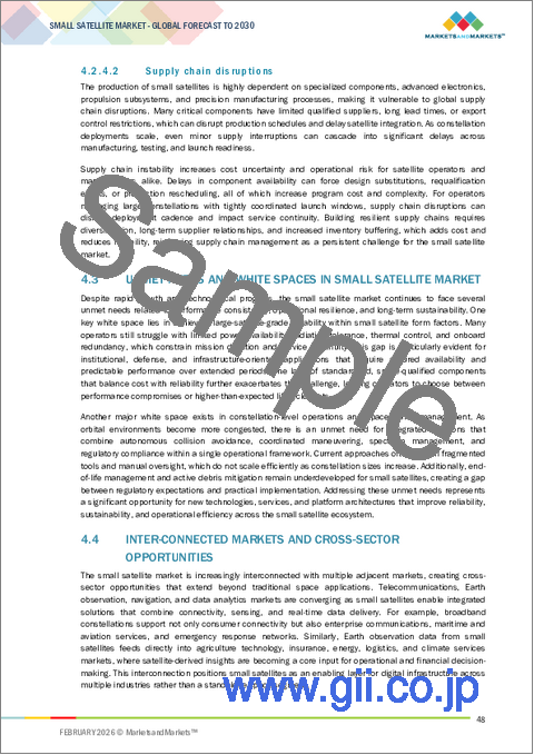 サンプル1：小型衛星の世界市場 (～2030年)：質量 (1～10kg・11～100kg・101-1,200 kg)・周波数帯 (L・S・C・X・Ku・Ka・Q/V/E・HF/VHF/UHF・レーザー/光学)・推進技術 (化学式・電気式・ハイブリッド)・用途・顧客・システム・地域別