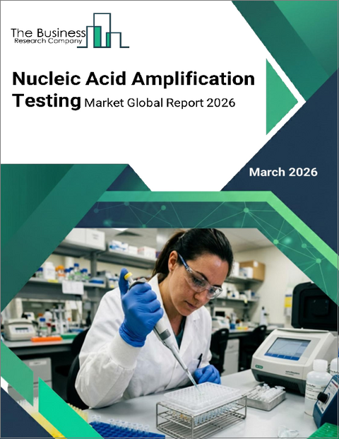 表紙：核酸増幅検査の世界市場レポート 2026年