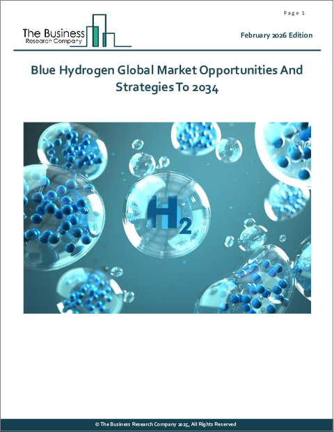 表紙：ブルー水素の世界市場の機会と2034年までの戦略