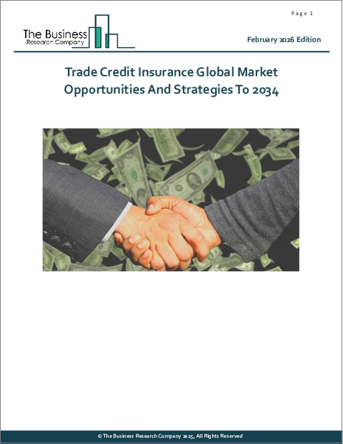 表紙：取引信用保険の世界市場：2034年までの機会と戦略