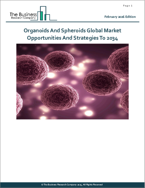 表紙：オルガノイドとスフェロイドの世界市場機会と戦略2034年まで