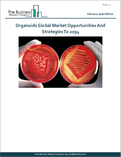 表紙：オルガノイドの世界市場2034年までの機会と戦略