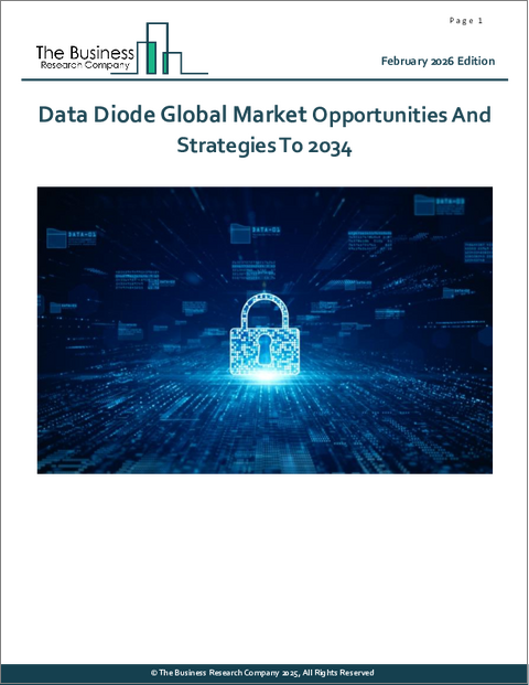 表紙：データダイオードの世界市場：2034年までの機会と戦略