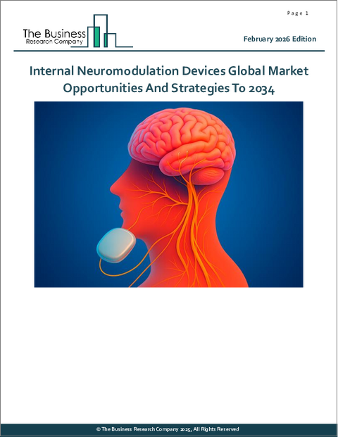 表紙:体内式ニューロモデュレーションデバイスの世界市場:2034年までの機会と戦略
