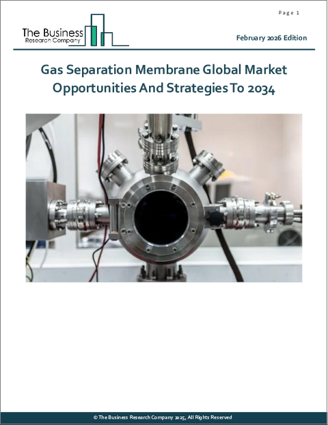 表紙：ガス分離膜の世界市場：2034年までの機会と戦略