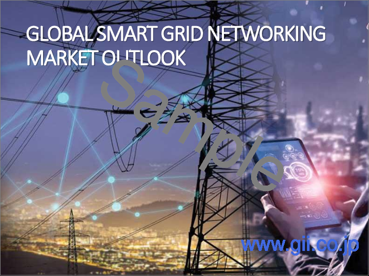 サンプル1：スマートグリッドネットワーキング市場- 世界の産業規模、シェア、動向、機会、予測：ハードウェア、ソフトウェア、サービス別、地域別＆競合、2021年～2031年