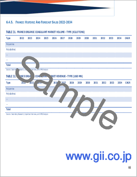 サンプル2：有機凝集剤の世界市場規模、シェア、動向及び成長分析レポート、2026年～2034年