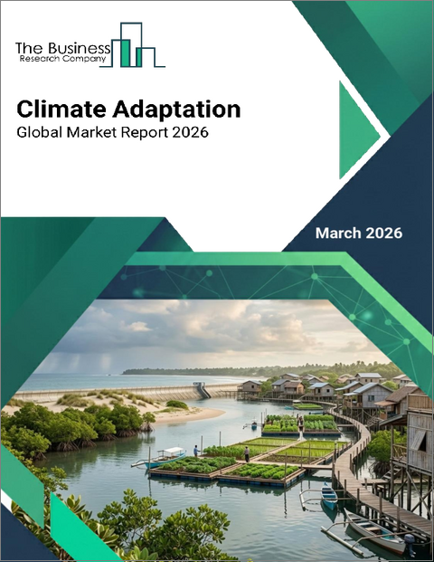 表紙:気候適応の世界市場レポート 2026年