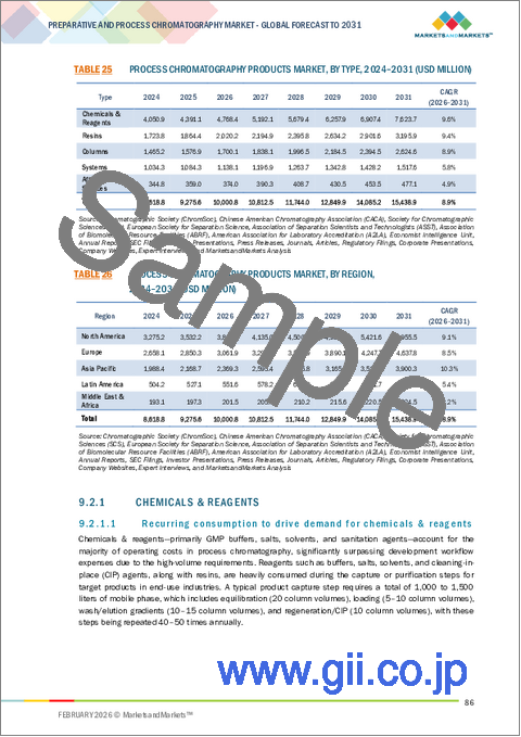 サンプル2：分取・プロセス用クロマトグラフィーの世界市場：製品タイプ別、用途別、エンドユーザー別、地域別 - 2031年までの予測