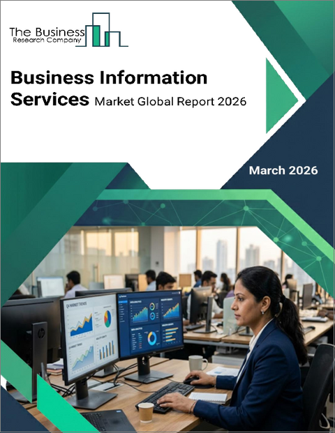 表紙：ビジネス情報サービスの世界市場レポート 2026年