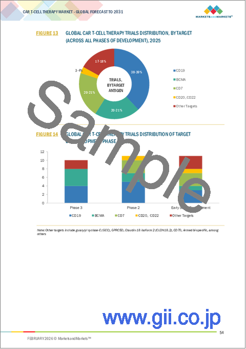 サンプル1：CAR-T細胞療法の世界市場：製品別、標的別、適応症別、人口統計別、エンドユーザー別、地域別 - 2031年までの予測