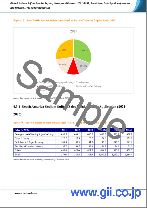 サンプル2：硫酸ナトリウムの世界市場レポート、実績と予測、2021年～2032年