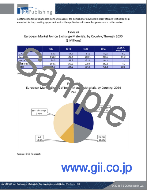 サンプル2：イオン交換材料：各種技術と世界市場