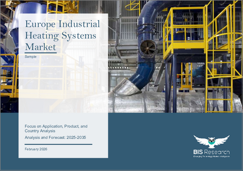 表紙：欧州の産業用暖房システム市場：用途別、製品別、国別 - 分析と予測（2025年～2035年）