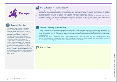サンプル2：欧州の廃棄物水素転換市場：用途別、技術別、廃棄物種類別、国別 - 分析と予測（2025年～2035年）