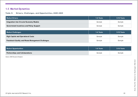 サンプル2：アジア太平洋地域のWtH (廃棄物水素転換) 市場：用途・技術・廃棄物タイプ・国別の分析・予測 (2025-2035年)