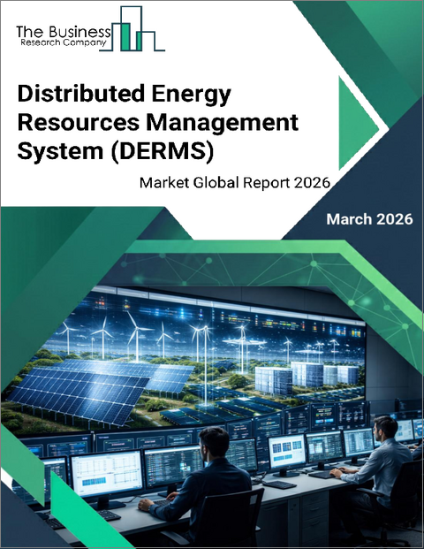表紙：分散型エネルギー資源管理システム（DERMS）の世界市場レポート 2026年