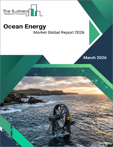 表紙：海洋エネルギーの世界市場レポート 2026年