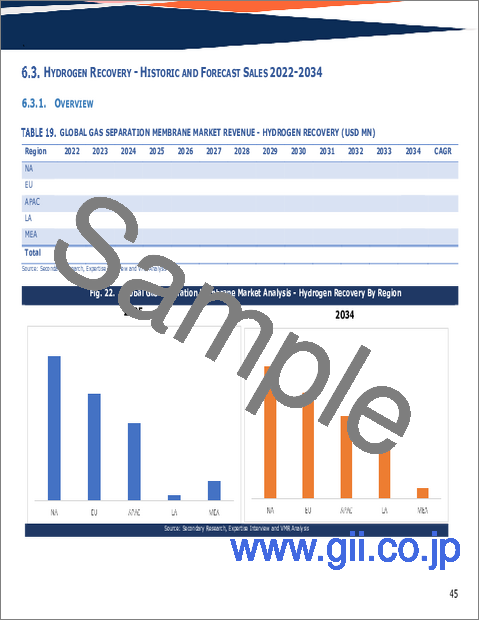 サンプル1：ガス分離膜の世界市場規模、シェア、動向及び成長分析レポート2026-2034年