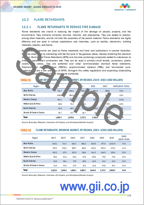 サンプル2：臭素の世界市場 (～2030年)：誘導体 (有機臭素・クリアブライン液・臭化水素)・用途 (難燃剤・PTA合成・石油&ガス掘削・水処理&殺菌剤・HBRフロー電池・農薬)・地域別