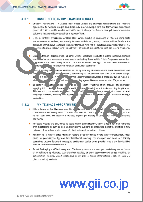 サンプル1：ドライシャンプーの世界市場：製品形態別、機能別、流通チャネル別、エンドユーザー別、地域別 - 予測（～2030年）