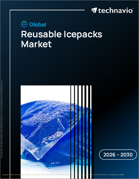 表紙：再利用可能アイスパックの世界市場 2026年～2030年
