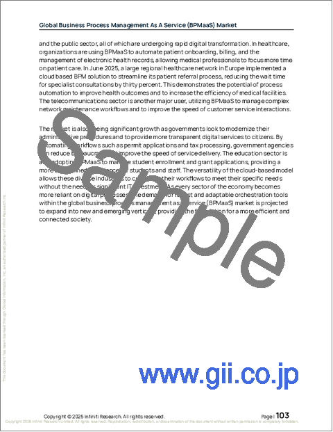 サンプル2：ビジネスプロセスマネジメント・アズ・ア・サービス（BPMAAS）の世界市場 2026年～2030年