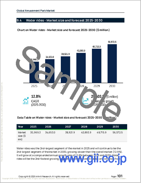 サンプル2:アミューズメントパークの世界市場 2026年~2030年