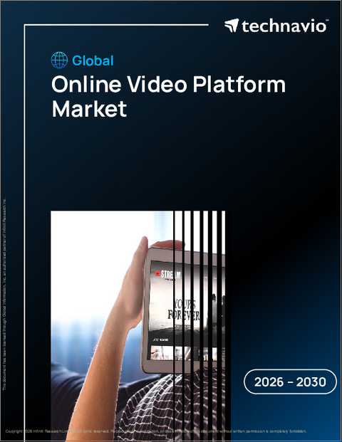 表紙:オンライン動画プラットフォームの世界市場 2026年~2030年