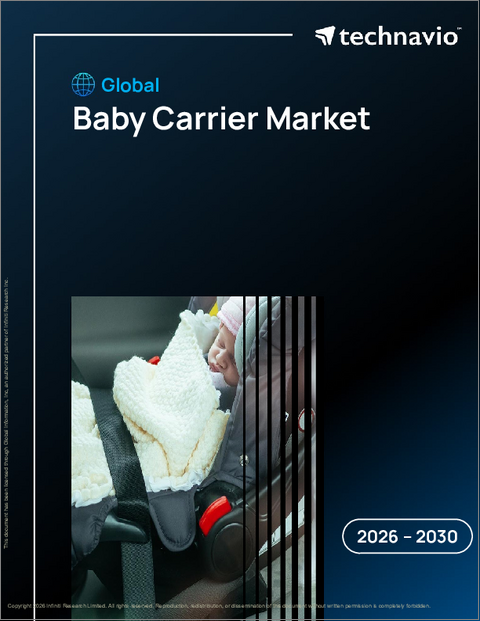 表紙：ベビーキャリアの世界市場 2026年～2030年