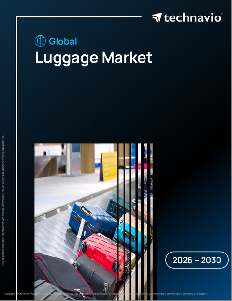 表紙：荷物の世界市場 2026年～2030年