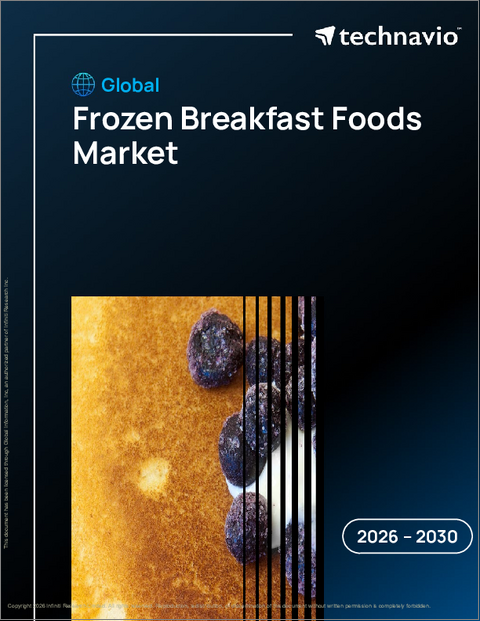 表紙：冷凍朝食食品の世界市場 2026年～2030年