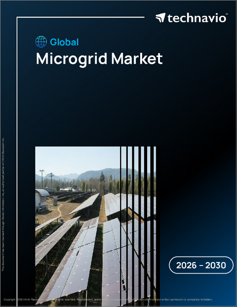 表紙：マイクログリッドの世界市場 2026年～2030年