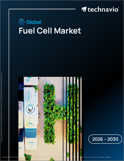 表紙：燃料電池の世界市場 2026年～2030年