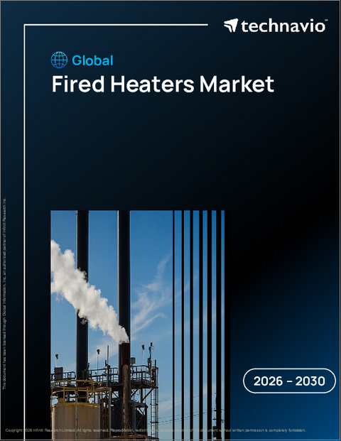 表紙：燃焼式ヒーターの世界市場 2026年～2030年