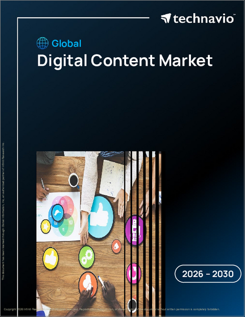 表紙：デジタルコンテンツの世界市場 2026年～2030年
