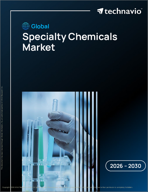表紙：特殊化学品の世界市場 2026年～2030年