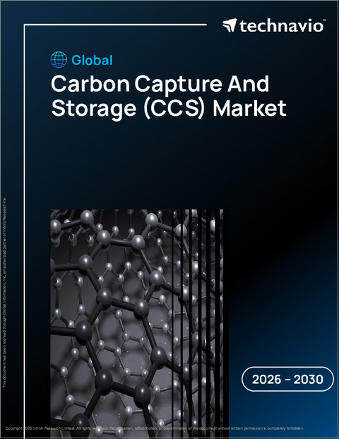 表紙：カーボンキャプチャーと貯留（CCS）の世界市場 2026年～2030年