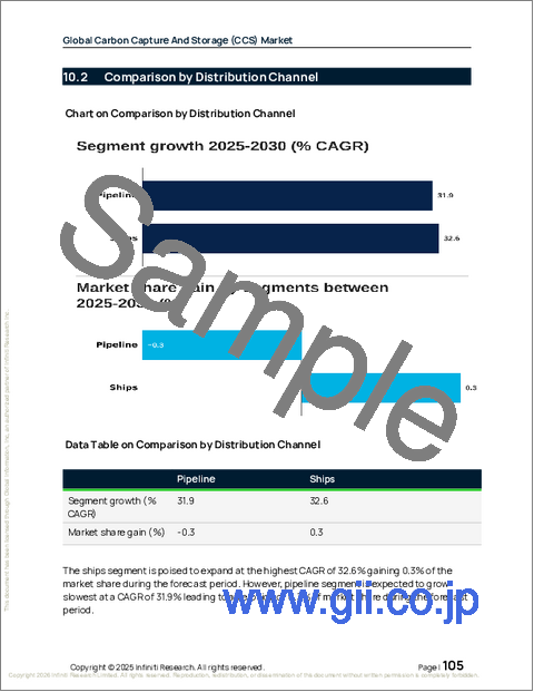 サンプル2：カーボンキャプチャーと貯留（CCS）の世界市場 2026年～2030年