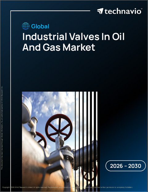 表紙：石油・ガス向け工業用バルブの世界市場 2026年～2030年
