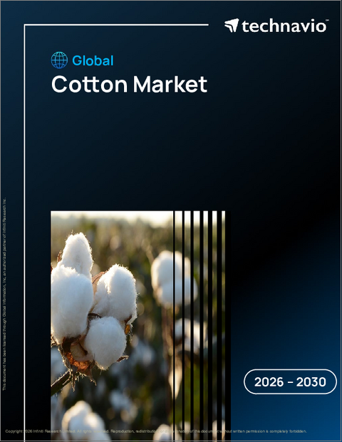 表紙：綿花の世界市場 2026年～2030年