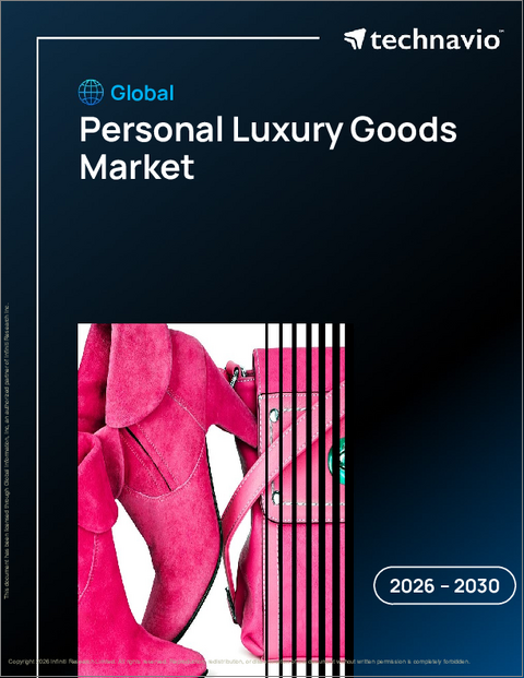 表紙：個人用ラグジュアリーグッズの世界市場 2026年～2030年