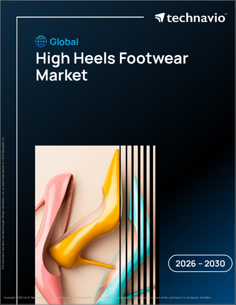 表紙：ハイヒール履物の世界市場 2026年～2030年