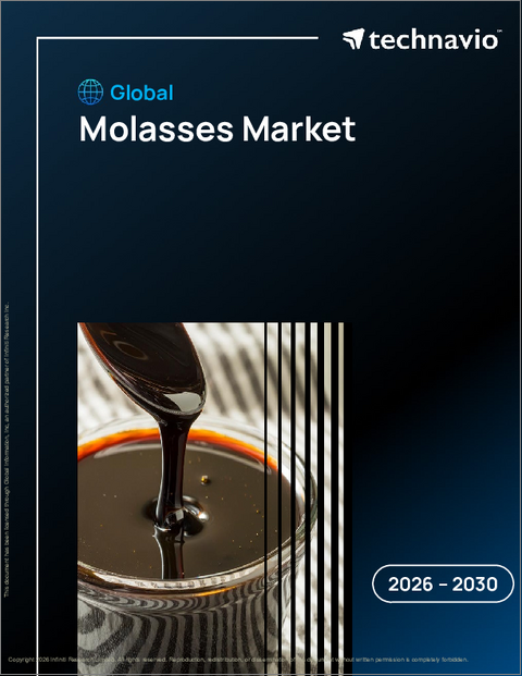 表紙：モラセスの世界市場 2026年～2030年