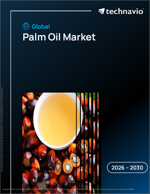 表紙：パーム油の世界市場 2026年～2030年