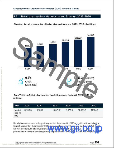 サンプル2：エピデルマル成長因子受容体（EGFR）阻害剤の世界市場 2026年～2030年