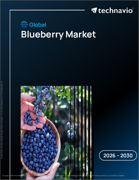 表紙：ブルーベリーの世界市場 2026年～2030年