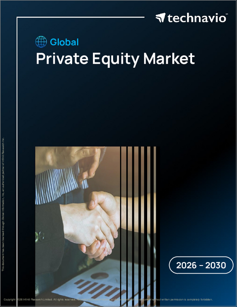 表紙：プライベート・エクイティの世界市場 2026年～2030年